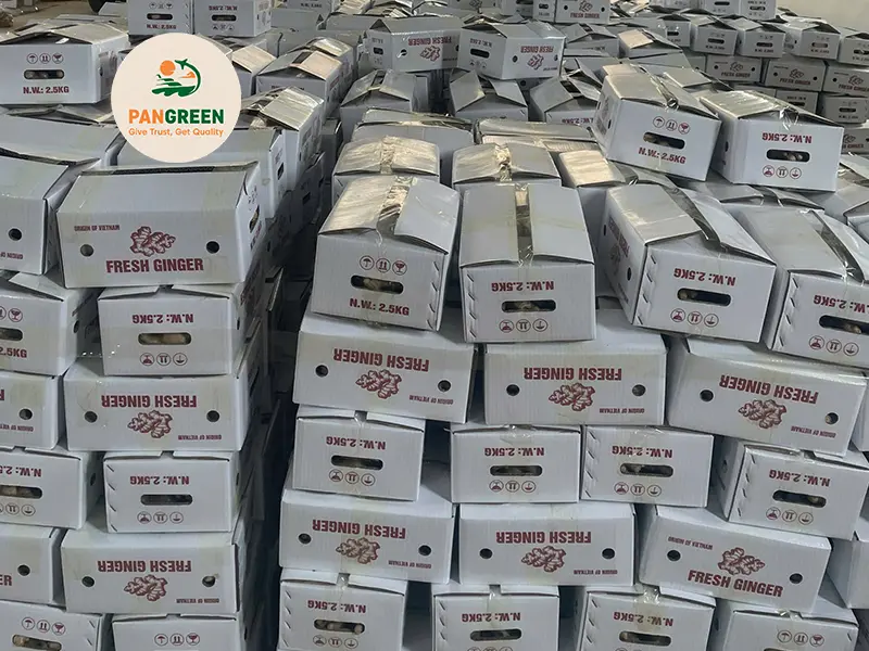 20 kg carton or VCP box