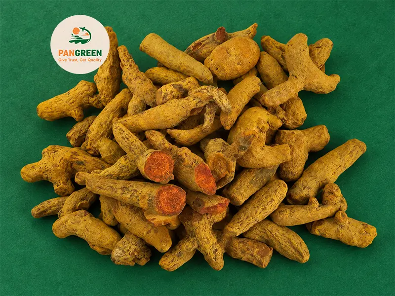 Dried Turmeric Rhizome 4–5% Curcumin