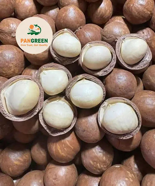 Macadamia nuts