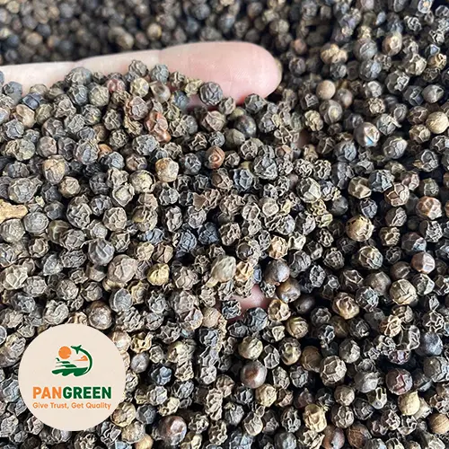 Vietnam black pepper 550 GL representative image
