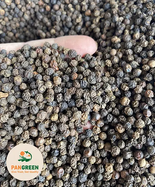 Vietnam black pepper export