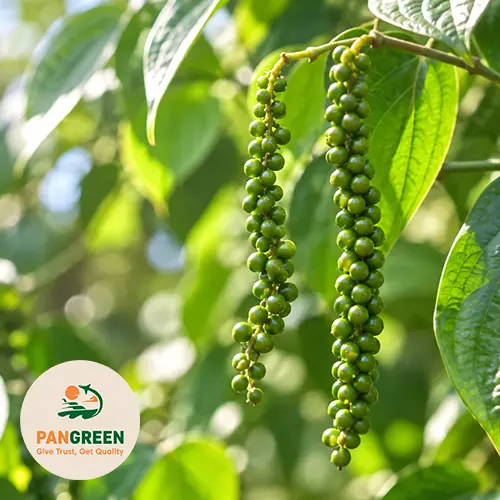 Pangreen export quotation support