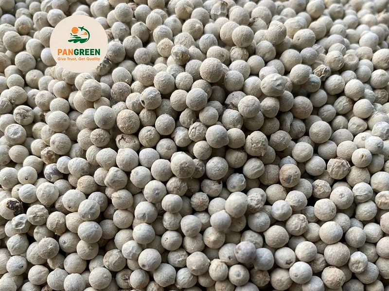 White Pepper Double Washed