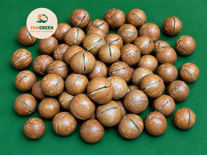 Macadamia Nuts