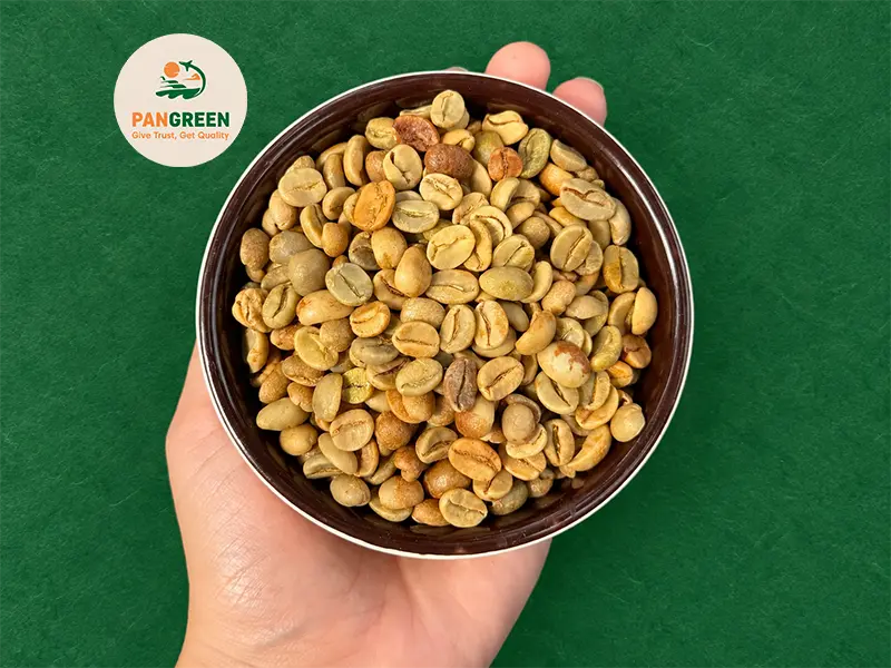 Robusta Grade 1 S16 Standard