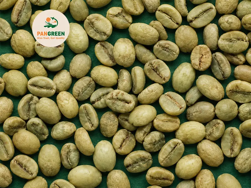 Robusta Grade 1 S13 Clean