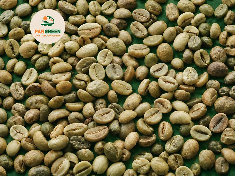 Robusta Grade 1 S13 Standard